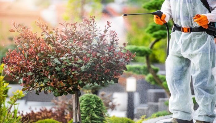 contaminación por pesticidas - (en los alimentos - enfocar en las pruebas de pesticidas