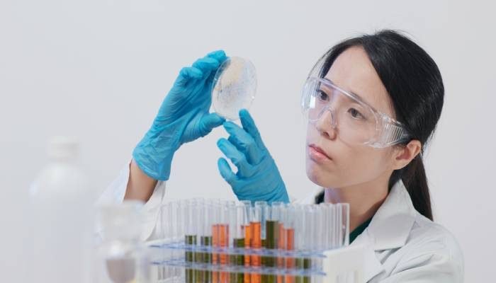 dentificadores microbianos
