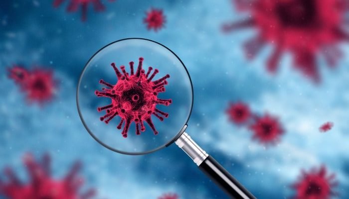 bacillus atrophaeus indicador biológico