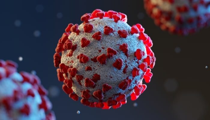 Cepa microbiológica