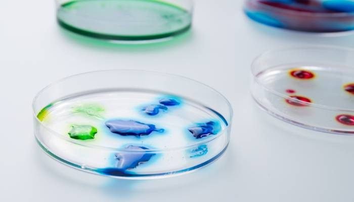 Identificación de bacterias fitopatógenas
