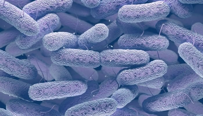 Límite de endotoxinas