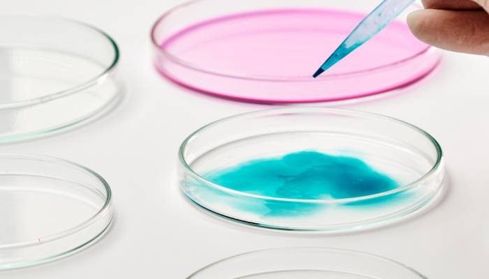Importancia de los medios de cultivo en microbiología