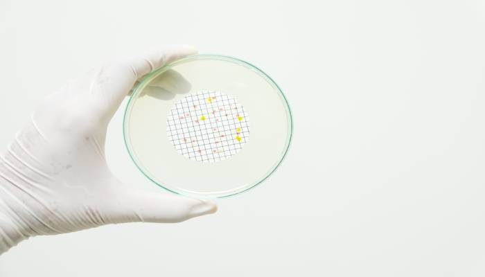 Tipos de membranas para filtración