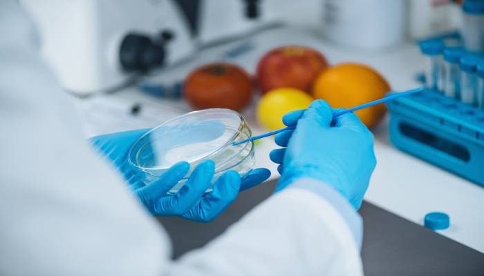 Laboratorios de alimentos (qué son y cuál es su relevancia)